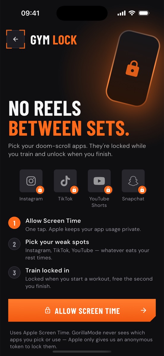 Gym Lock